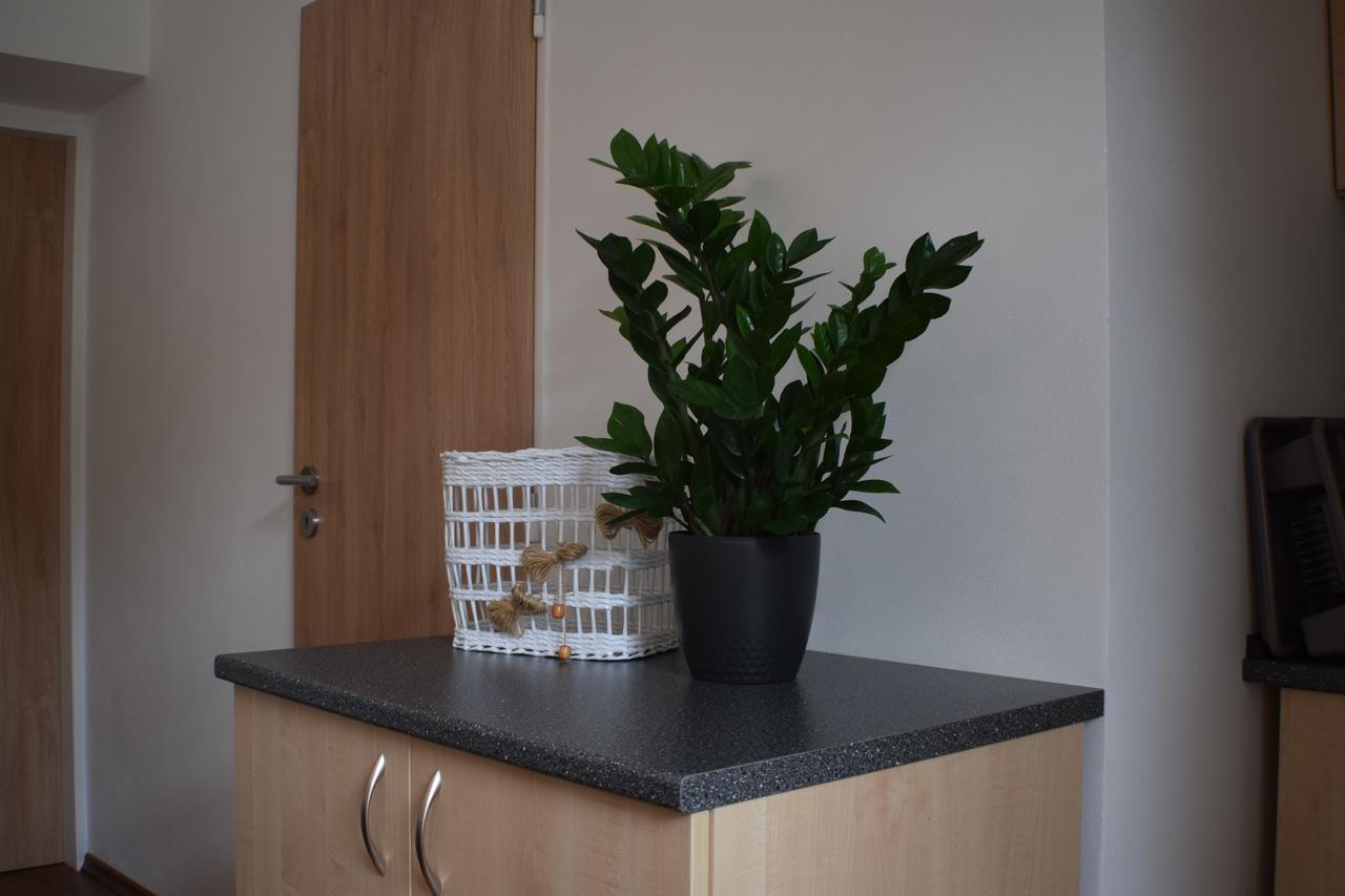 Apartmany Lipa Табор Екстер'єр фото